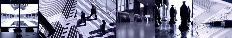 Tyree Capital: Merger, Acquisition, Divestiture, Due Diligence Specialists